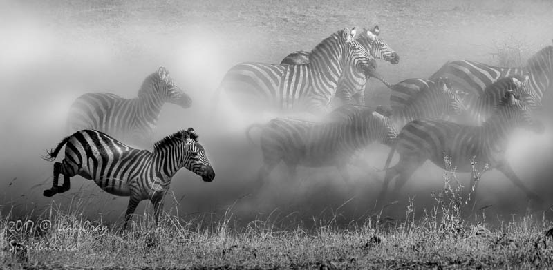 Run to Water