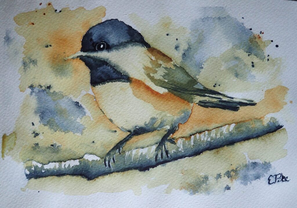 Chickadee