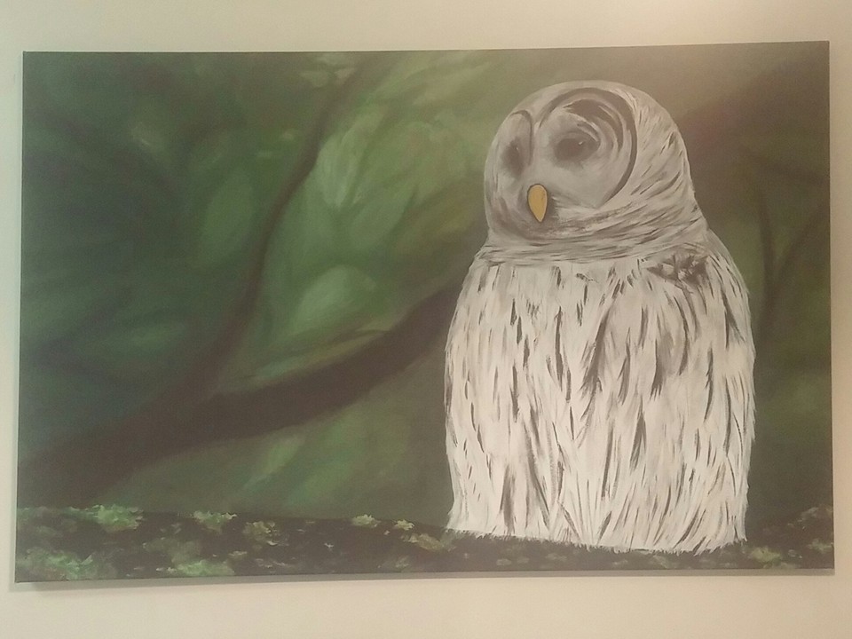 Owl
