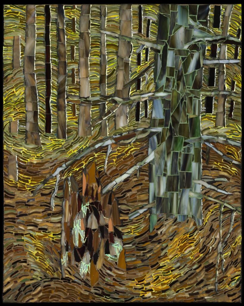 sunlit forest