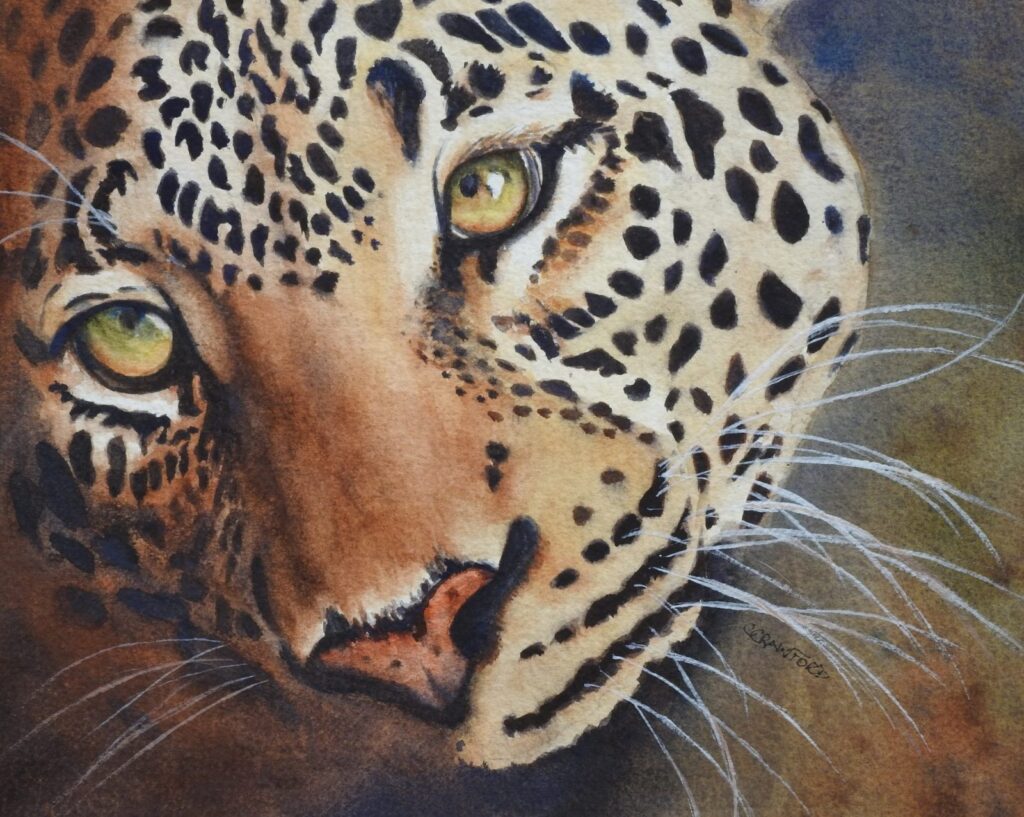 Leopard2