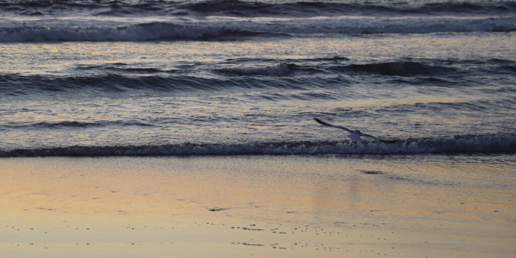 contemplation-of-water-and-light 4