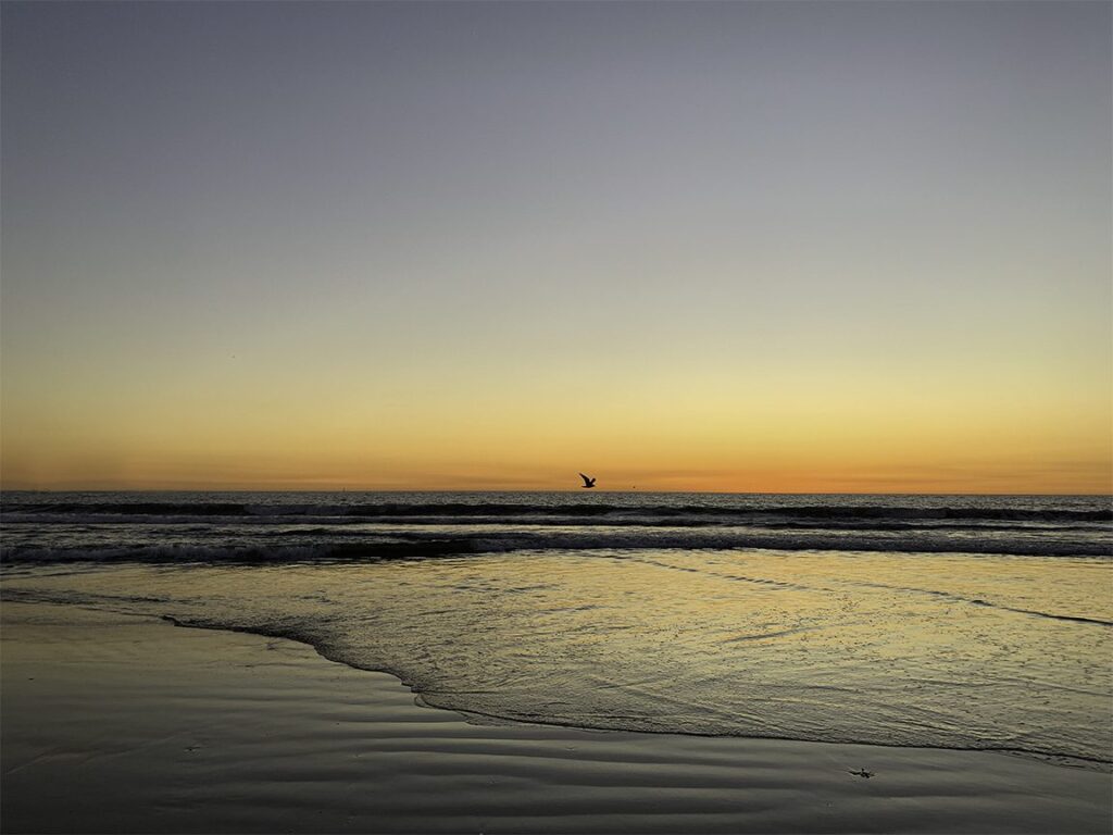 contemplation-of-water-and-light 6