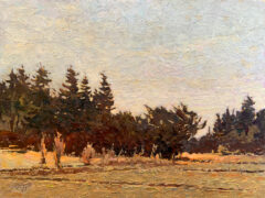 Near Elk Lake 