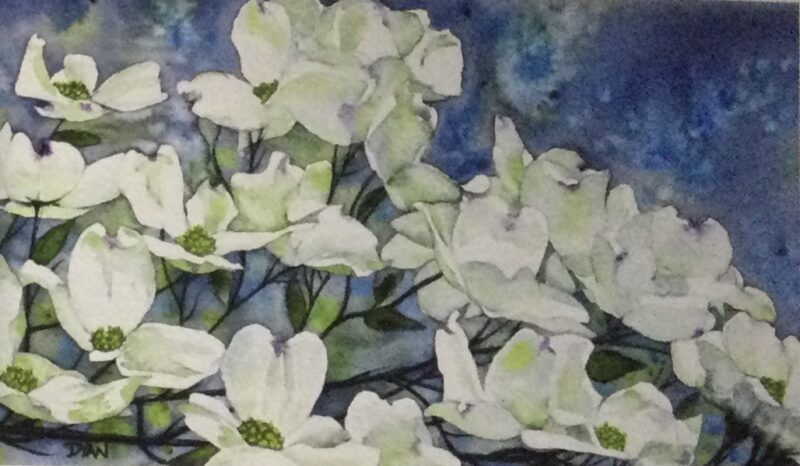 DOGWOOD