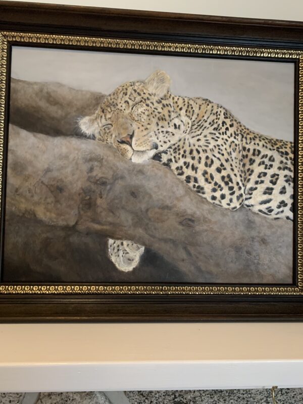 leopard