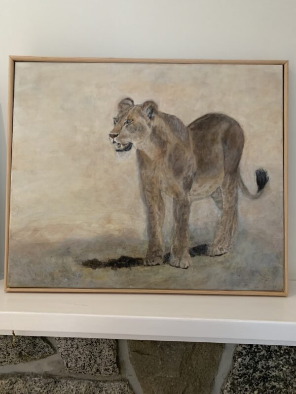 lion