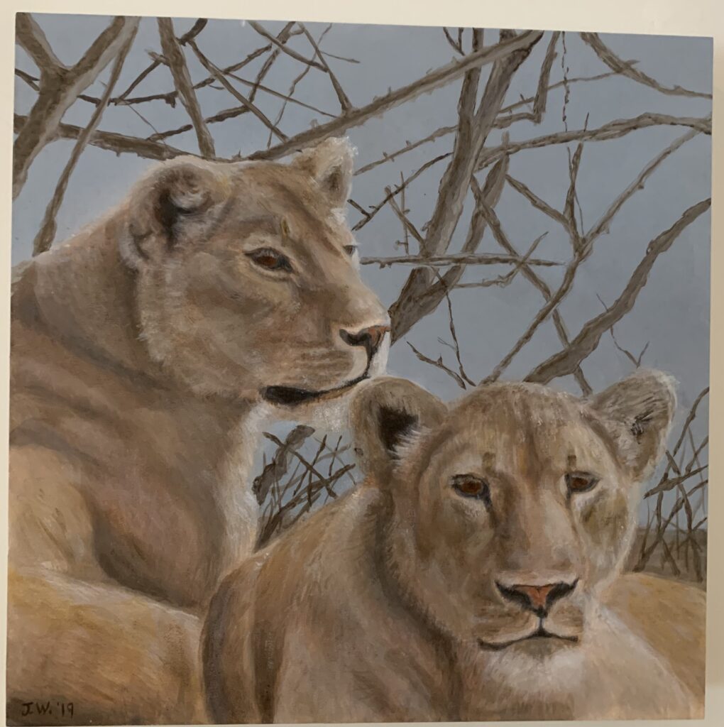 lion pair