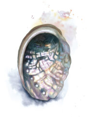 Iris-Moore-Galaxy-Abalone-9×12 