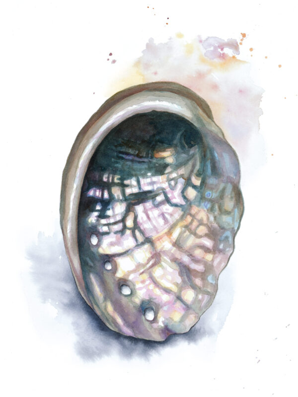 Iris-Moore-Galaxy-Abalone-9×12