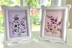 Forget Me Not Collection 