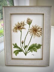Dazzling Daisies 