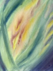 IMG_0661 