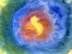IMG_0806 